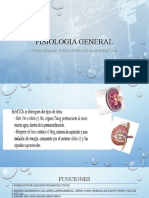 Fisiologia General: Fisiologia Del Riñon (Shen) en Bioenergetica