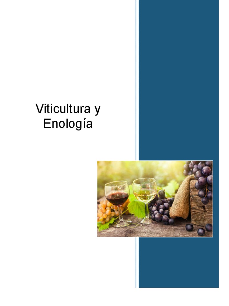 Viticultura y Enología PDF Cata de vinos Vinificación