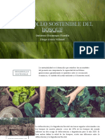 Desarrollo Sostenible Del Bosque: Integrantes: Gutiérrez Bocanegra Fiorella Diego Rivera Villanet