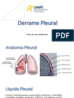 Derrame Pleural (1364)