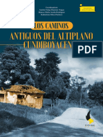 Antiguos Del Altiplano Cundiboyacense: Los Caminos