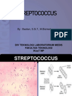 Streptococcus