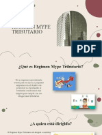 Regimen Mype Tributario