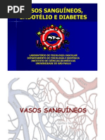 Aula Vascular Diabetes