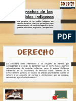 Derechos de Los Pueblos Indígenas (