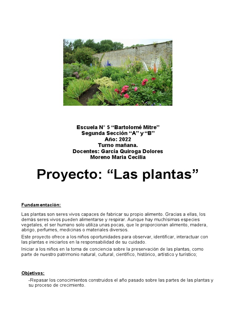 Proyecto Las Plantas 2022 | PDF | Plantas