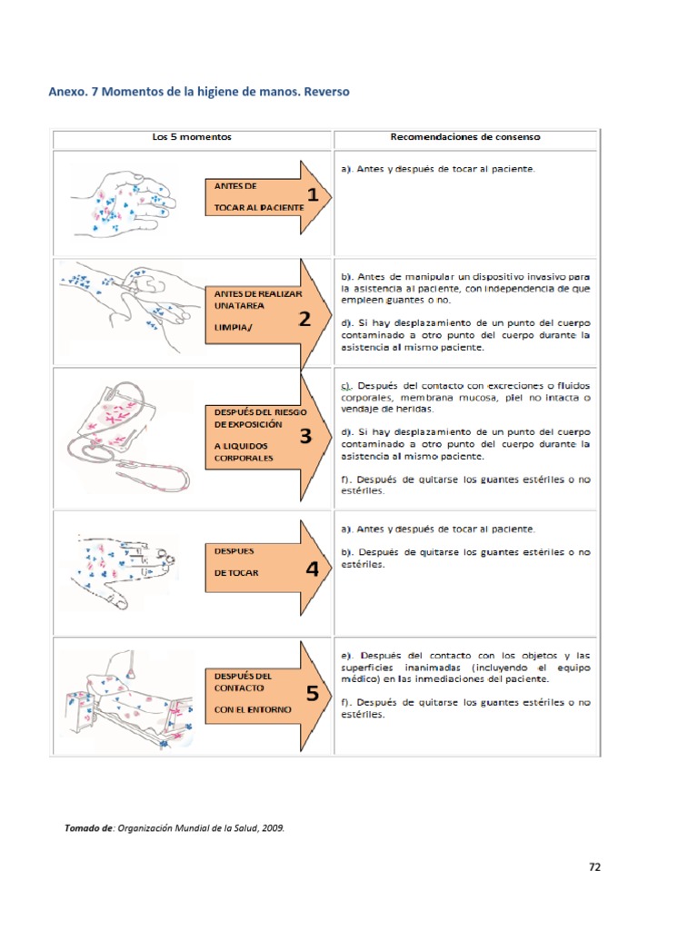 5 Momentos Del Lavado de Manos 2 | PDF