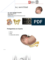 Pelvimetría y Móvil Fetal: Dr. Luis Giovanni Yescas M
