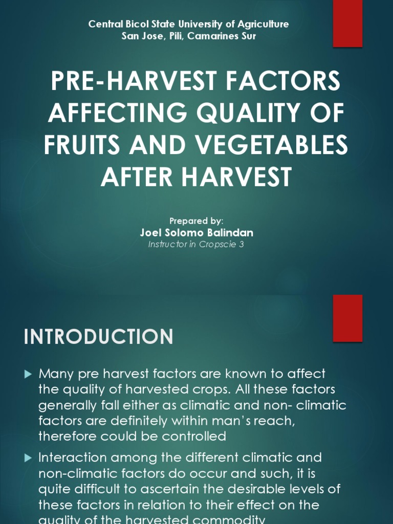 B. PDF PRE HARVEST FACTORS AFFECTING QUALITY OF FRUITS Copy PDF Tomato Vegetables