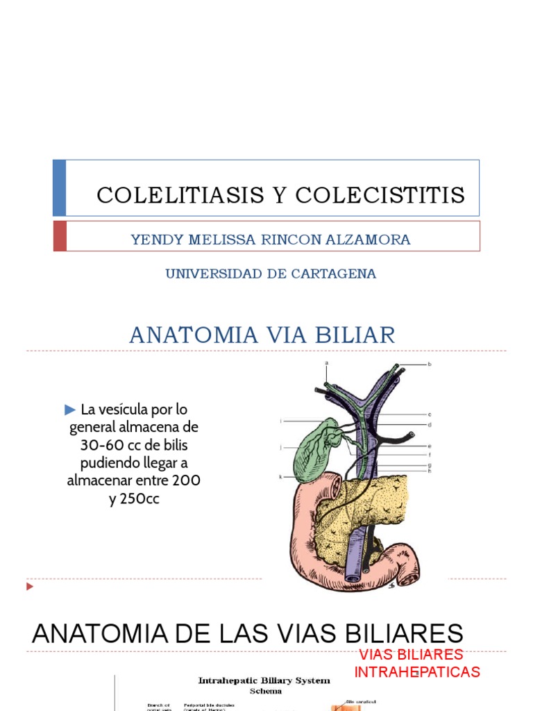 Colecistitis y Colelitiasis - Guia Tokio y PDF | PDF | Bilis | Vesícula ...