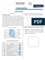 Actividad Huella Genetica