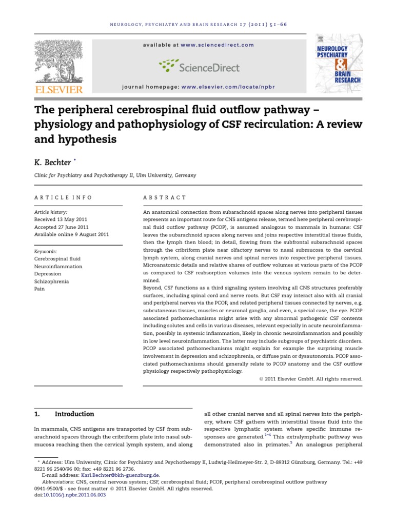 CSF Outflow Pathway: Physiology & Pathology | PDF | Cerebrospinal Fluid ...