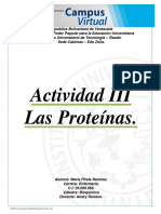 Actividad III - Las Proteínas.