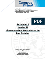 Actividad I Componentes Moleculares de Las Células