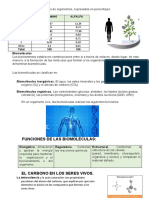 4° Bioelementos Y Biomoleculas