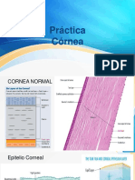 Practica Cornea y Glaucoma