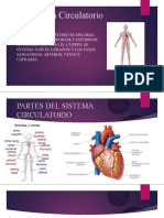 El Sistema Circulatorio