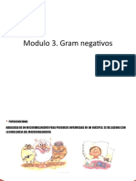 Modulo 3. Gram Negativos