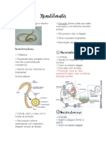 Características e prevenção de vermes parasitas intestinais
