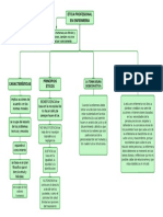 Etica Profesional en Enfermeria-Mapa