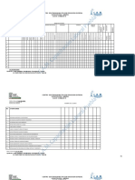 Formato de Evaluacion de Pay de Limon 2