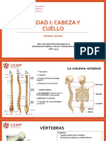 Anatomía Ii - Sesión 1