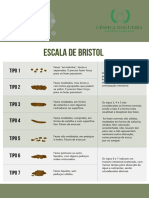 Cópia de Escala de Bristol 