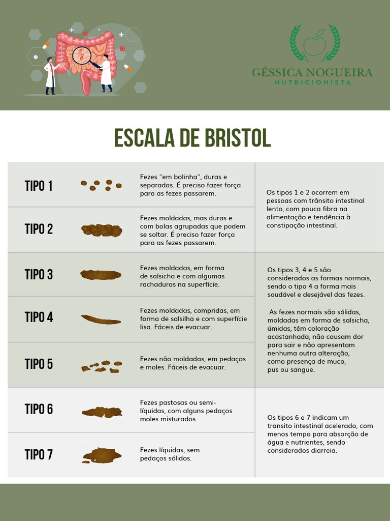 c-pia-de-escala-de-bristol-pdf