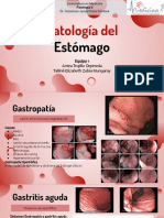 Patología Del Estómago