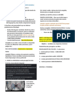 Anatomofisiologia de La Red Corticolimbica