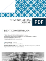 Nomenclatura Dental: Dra. Isabella Suarez