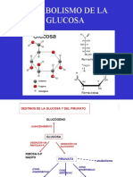 Metabolismo de Carbohidratos Parte 2 - Bioquimica