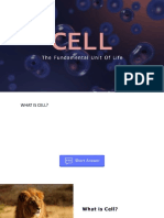 Discussion Cells