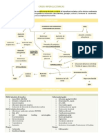 Crisis hiperglucémicas en DM: Cetoacidosis diabética y hiperosmolaridad hiperglucémica