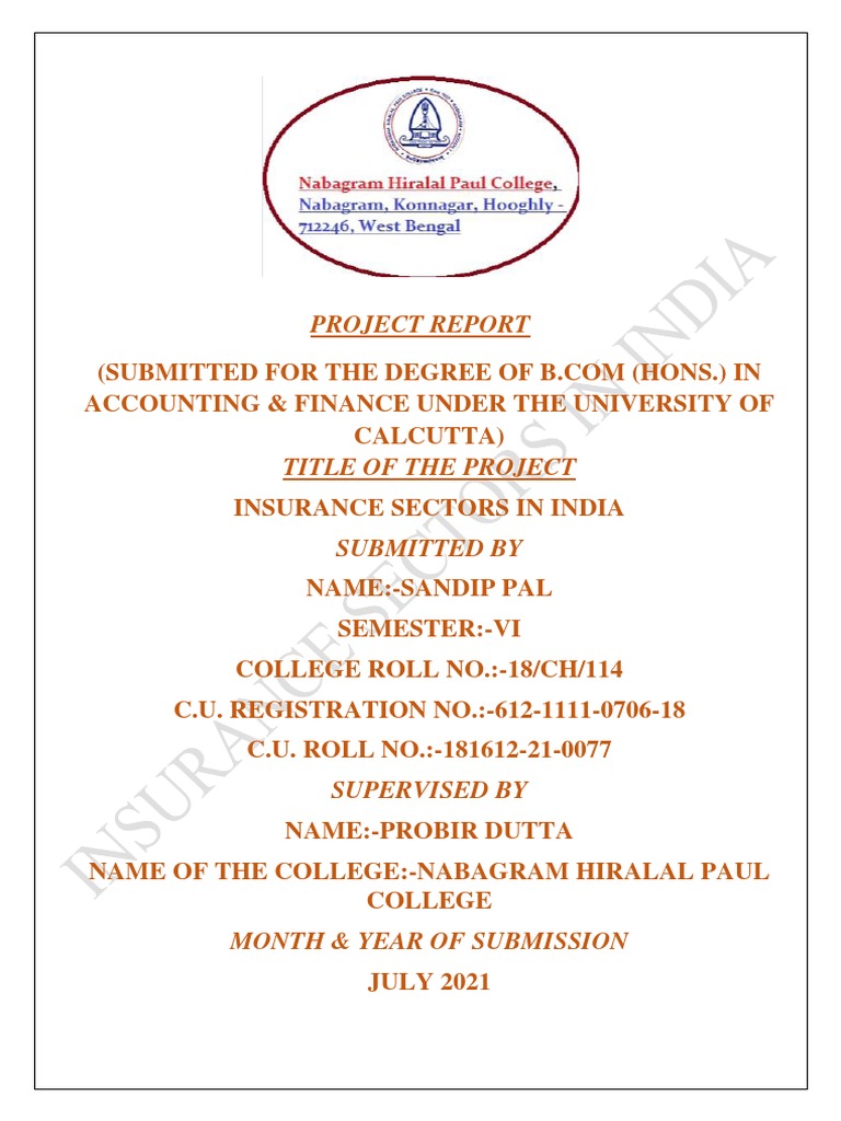 Insurance Sectors in India Report | PDF | Insurance | Life Insurance