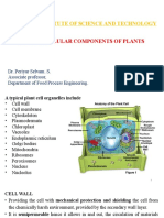 SRM Institute of Science and Technology: Unit 1 - Cellular Components of Plants