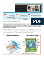 Ficha de Trabajo Semana 3 - 2° Cyt