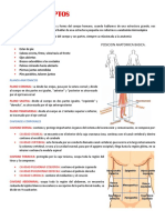 Tema 1 Conceptos