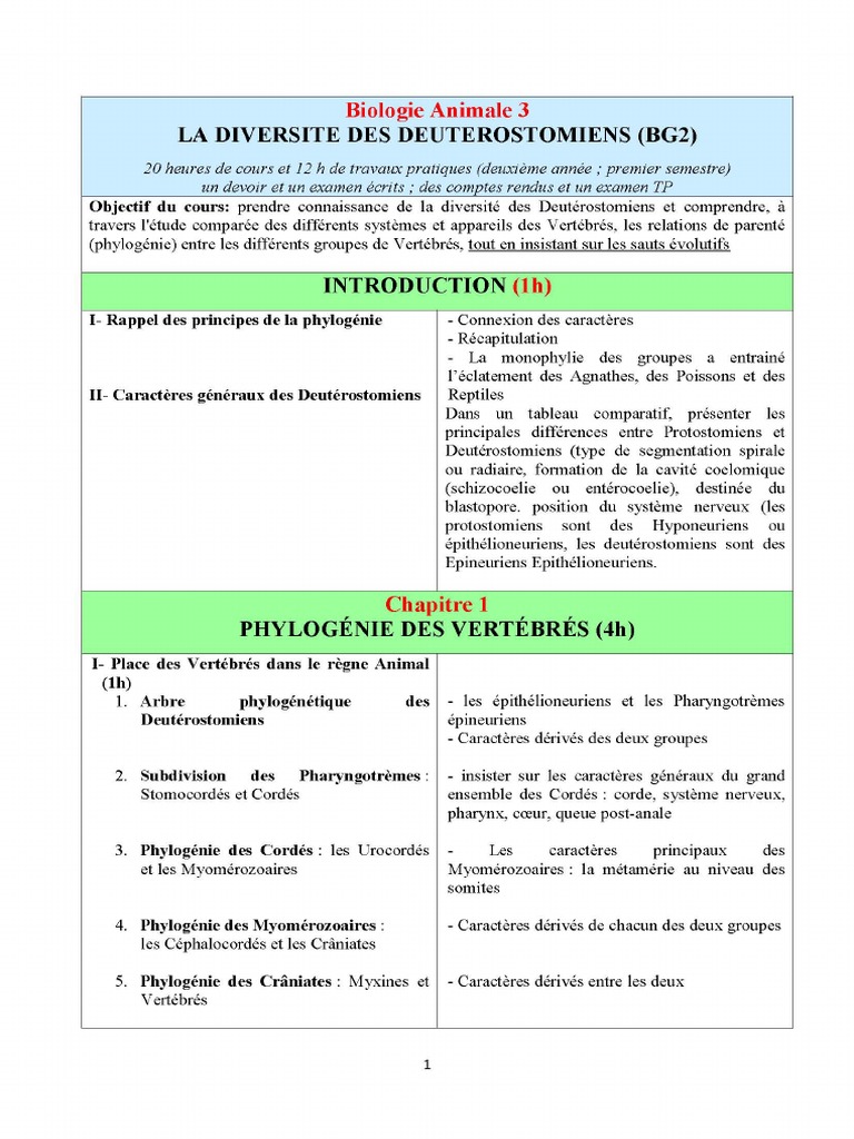 Schéma Plan D organisation Des Vertébrés Coupe Transversalle Untitled | PDF