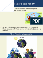 Principles of Sustainability