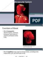 Cardiovascular System