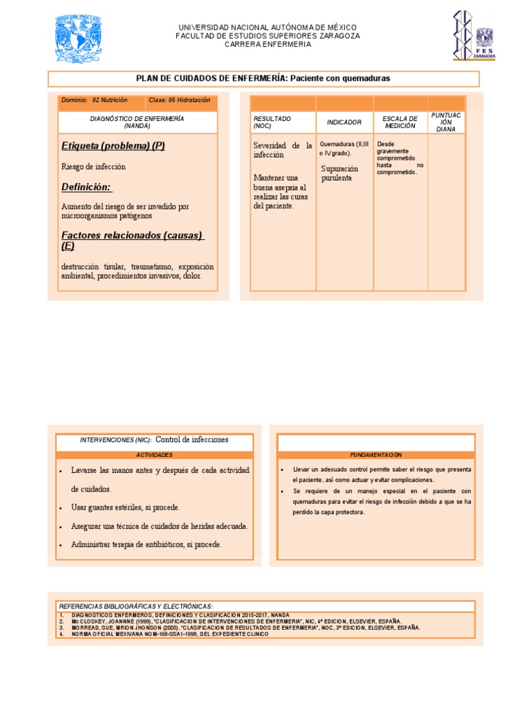 PLACE Quemaduras PDF Enfermería Salud pública