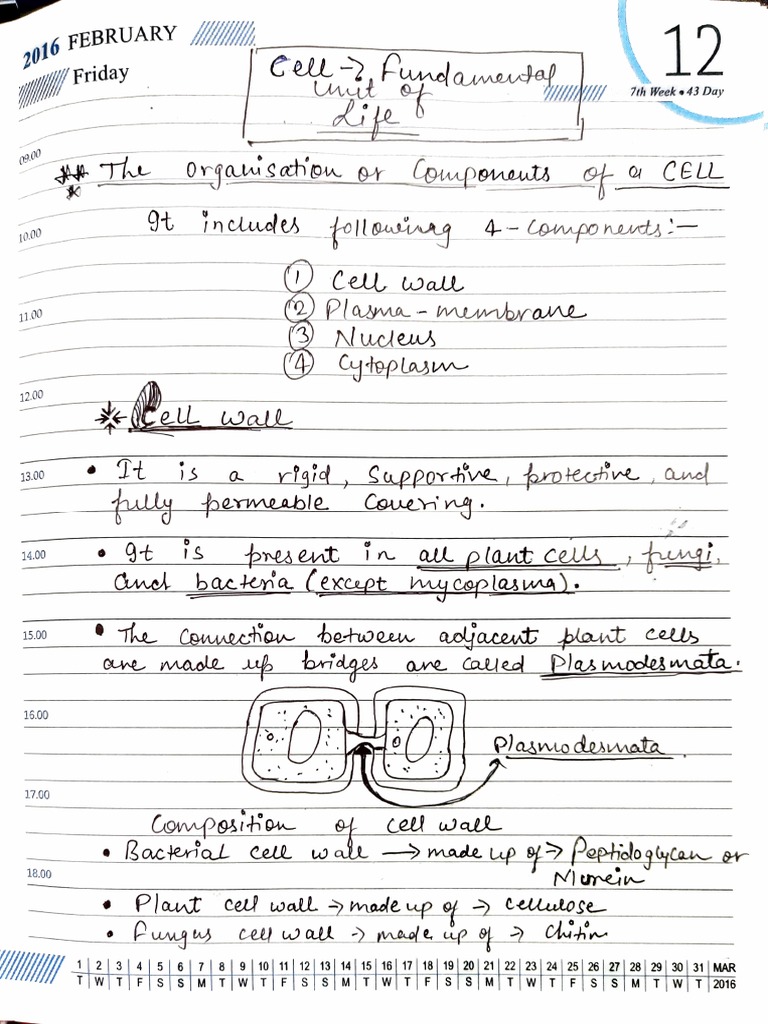 CELL Notes (Cell Wall, Plasma Membrane) | PDF | Microscopy | Laboratory ...