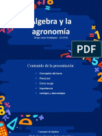 Álgebra y La Agronomía: Diego Arias Rodriguez 22-0546