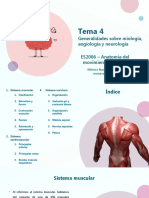 Tema 4: Generalidades Sobre Miología, Angiología y Neurología ES2006 - Anatomía Del Movimiento Humano