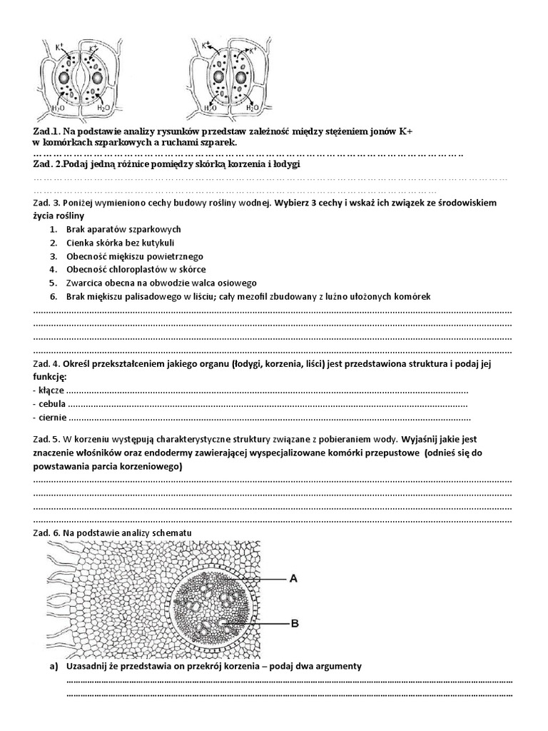 Sprawdzian Tkanki Organy Roślinne | PDF