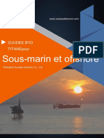 Traduction de La Brochure Des Produits Sur Mesure en Titane BYD de Zuudee Pour L'industrie Sous-Marine Et Offshore en Français FR
