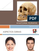 Cranio e Face