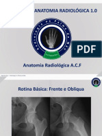Programa Anatomia Radiológica 1.0