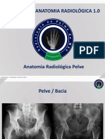 Anatomia Radiológica - Pelve, RPM